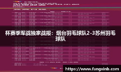 杯赛季军战独家战报：烟台羽毛球队2-3苏州羽毛球队